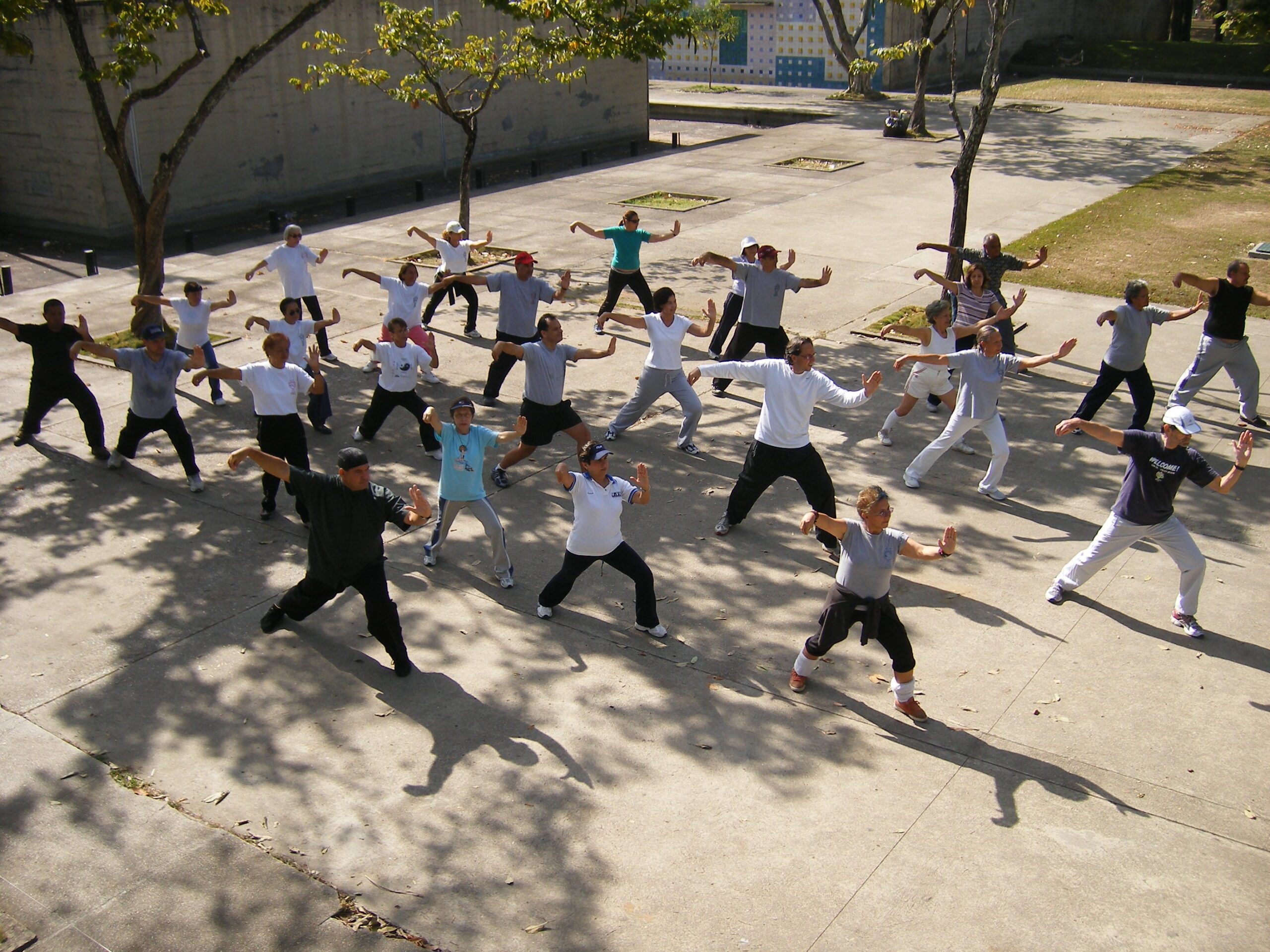 Master Yuri Jimenez teaching Taichi at Parque del Este, Caracas